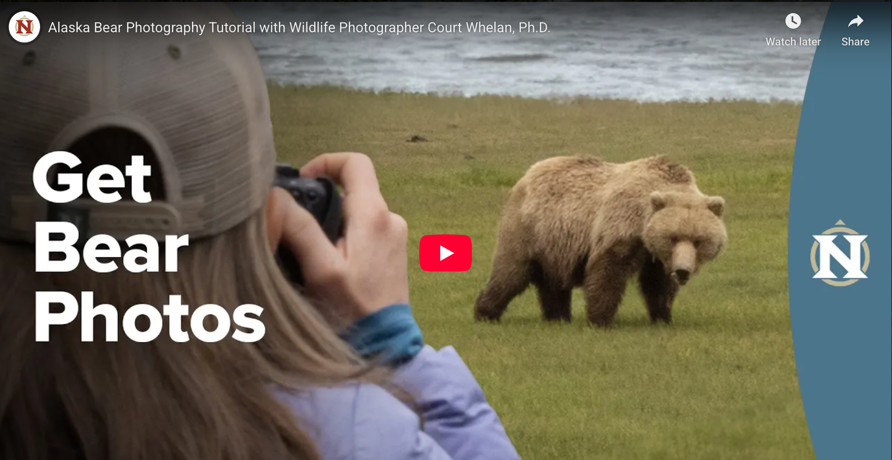 a video to watch a full bear photo tutorial